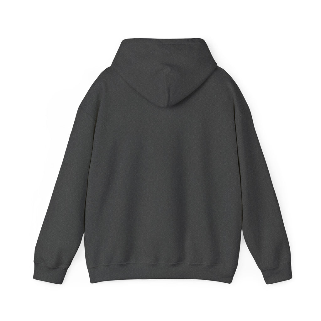 RCTA Logo Hoodie — Retro Medical Emblem Pullover